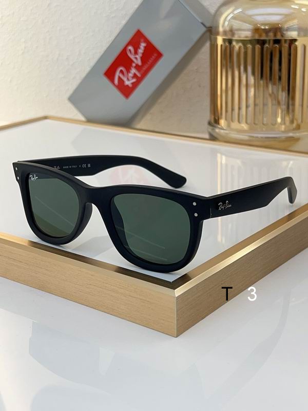 RayBan Sunglasses ID:20240804-395